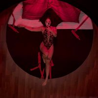 Gallery Viviolix 1